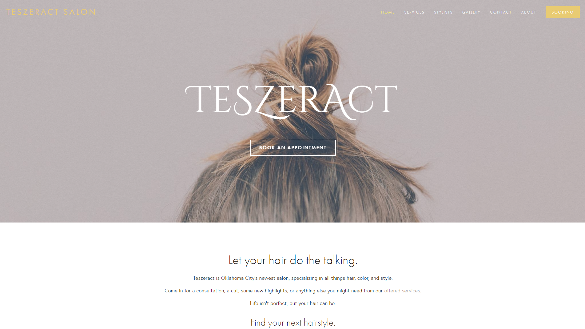 Teszeract Salon Website